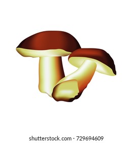 Mushrooms vector illustration. 3d illustration