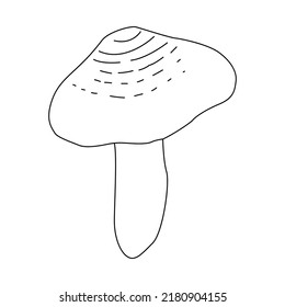 Mushrooms Vector illustration drawn hand, Dangerous mushrooms, toadstool, fly agaric, white toadstool, family of mushrooms isolated white background