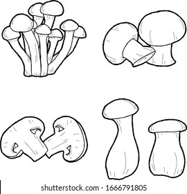 Mushrooms Vector Illustration Hand Drawn Vegetable Cartoon Art