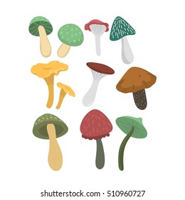 Mushrooms vector illustration set