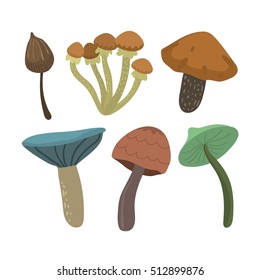 Mushrooms vector illustration set