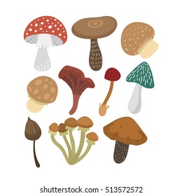 Mushrooms vector illustration set