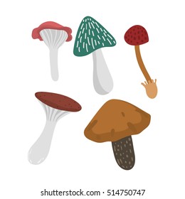 Mushrooms vector illustration set