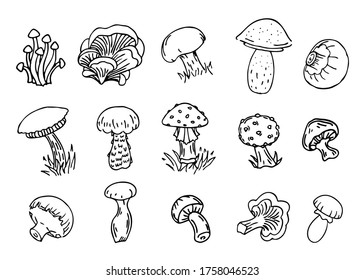 mushrooms, vector illustration set, collection of different types of mushroom black outline contour, isolated on white background