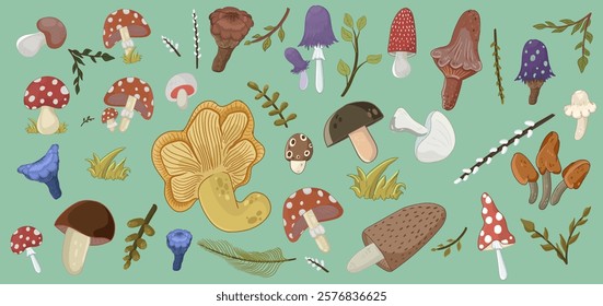 Mushrooms vector illustration set. Different natural design kinds elements mushrooms ambergris, amanita, chanterelle