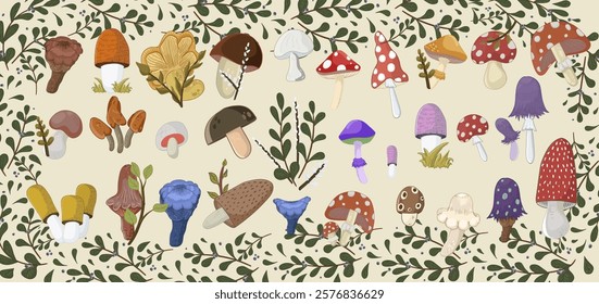 Mushrooms vector illustration set. Different natural design kinds elements mushrooms ambergris, amanita, chanterelle