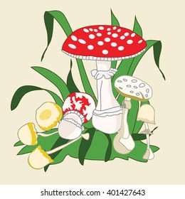 Mushrooms vector illustration set. Different types of poisonous mushrooms. Nature mushrooms for food and cook poisonous mushrooms. Vector poisonous mushrooms.