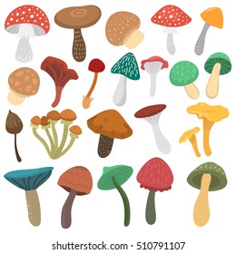 Mushrooms vector illustration set. Different natural design kinds elements mushrooms ambergris, amanita, chanterelle