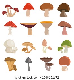 Mushrooms vector illustration set isolated on white background. Different kinds of edible and inedible cartoon mushrooms icons.