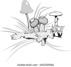 Mushrooms vector illustration set isolated on white background. Different kinds of edible and inedible cartoon mushrooms icons.