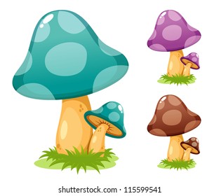 Mushrooms vector illustrations