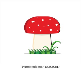 Mushrooms vector illustrations. Icon.