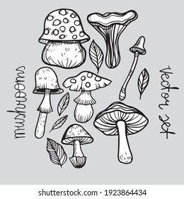 3,866 Ink cap mushroom Images, Stock Photos & Vectors | Shutterstock