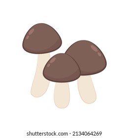Mushrooms vector. Mushrooms on white background. Food cartoon.