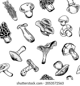 Mushrooms vector seamless hand-drawn pattern in black ink. Birch bolete, cep, champignons, chanterelle, cortinarius, enoki, eringi, gyromitra, lactarius, morel, oyster, puffball, russula, suillus