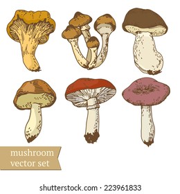 mushrooms vector set