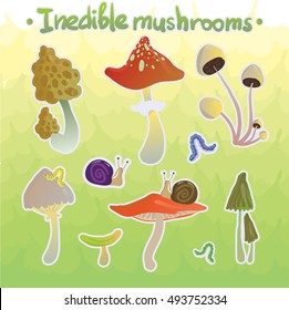 Mushrooms vector set
