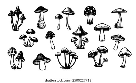 Mushrooms vector set. Hand drawn vector illustration of fungus in black and white colors. Sketch of forest. Isolated on white background.