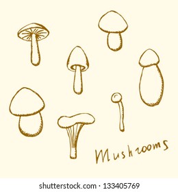 Mushrooms vector set in sketch style