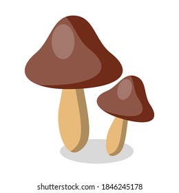 Mushrooms vector, two brown mushrooms,Mushroom icon.