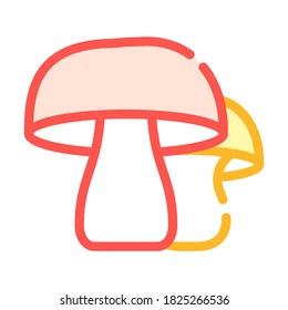 mushrooms vegetables color icon vector. mushrooms vegetables sign. isolated symbol illustration