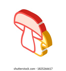 mushrooms vegetables isometric icon vector. mushrooms vegetables sign. isolated symbol illustration
