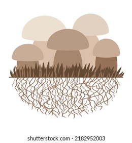 Mushrooms and vegetation. Reproduction fungus. Mycelium and spore. Vector illustration. Flat style. monochrome. Isolated on white.