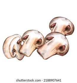 Mushrooms watercolor vector design isolated on white background great for cards, banners, headers, party posters or decorate your artwork.