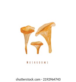 Mushrooms watercolor vector illustration. Fall forest boletus chanterelle in aquarelle design