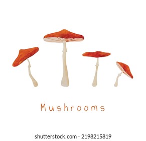 Mushrooms watercolor vector illustration. Fall forest boletus amanitas in aquarelle design