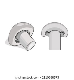 Mushrooms, whole and half,isolated on a white background.Vector illustration.