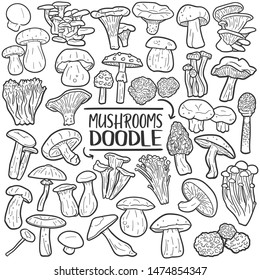 Mushrooms Wild Nature. Fungi Forest Fungus. Traditional Doodle Icons. Sketch Hand Made Design Vector.