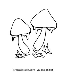 Mushrooms of wildlife, spore organism. Mycology. Mystical mushrooms. Doodle. Hand drawn. Vector illustration. Outline