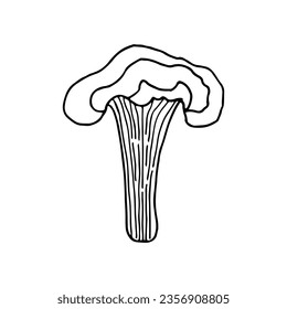 Mushrooms of wildlife, spore organism. Mycology. Mystical mushrooms. Doodle. Hand drawn. Vector illustration. Outline