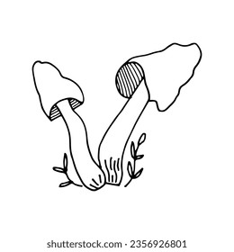 Mushrooms of wildlife, spore organism. Mycology. Mystical mushrooms. Doodle. Hand drawn. Vector illustration. Outline