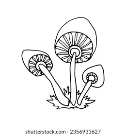 Mushrooms of wildlife, spore organism. Mycology. Mystical mushrooms. Doodle. Hand drawn. Vector illustration. Outline