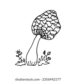 Mushrooms of wildlife, spore organism. Mycology. Mystical mushrooms. Doodle. Hand drawn. Vector illustration. Outline.