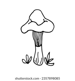 Mushrooms of wildlife, spore organism. Mycology. Plant.  Mystical mushrooms. Doodle. Hand drawn. Vector illustration. Outline.