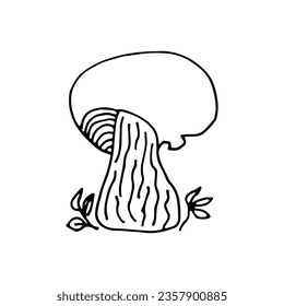 Mushrooms of wildlife, spore organism. Mycology. Plant.  Mystical mushrooms. Doodle. Hand drawn. Vector illustration. Outline.