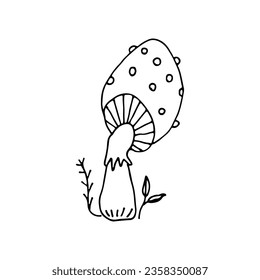 Mushrooms of wildlife, spore organism. Mycology. Toadstool mushroom. Plant.  Mystical mushrooms. Doodle. Hand drawn. Vector illustration. Outline.