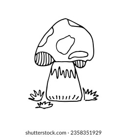 Mushrooms of wildlife, spore organism. Mycology. Plant.  Mystical mushrooms. Doodle. Hand drawn. Vector illustration. Outline.