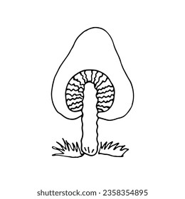 Mushrooms of wildlife, spore organism. Mycology. Plant.  Mystical mushrooms. Doodle. Hand drawn. Vector illustration. Outline.