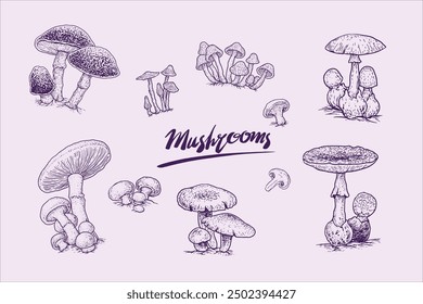 Mushrooms-10-element.eps. 10 elegant vector mushroom sketch elements suitable for anything, festival cards and so on