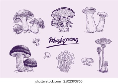 Mushrooms-9-element.eps. 9 elegant vector mushroom sketch elements suitable for anything, festival cards and so on