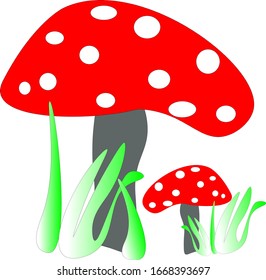 Mushrooms.Graphic abstract drawing.Vector illustration. Hand- drawn for book design, holiday invitations, postcards, cafe menus, web design