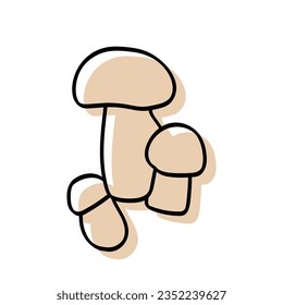 Mushrooms.Pattern.Image on white and colored background.Vector.