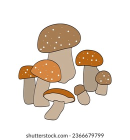 Mushrooms.Pattern.Image on white and colored background.Vector.