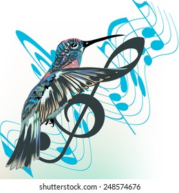 Music background with notes, treble clef and hummingbird