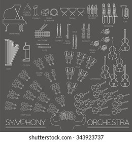 Musical instruments graphic template. All types of musical instruments infographic. Vector illustration