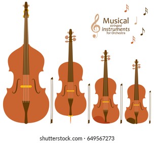 Musical stringed instruments for orchestra. Vector illustration